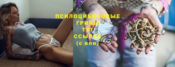 марихуана Белокуриха