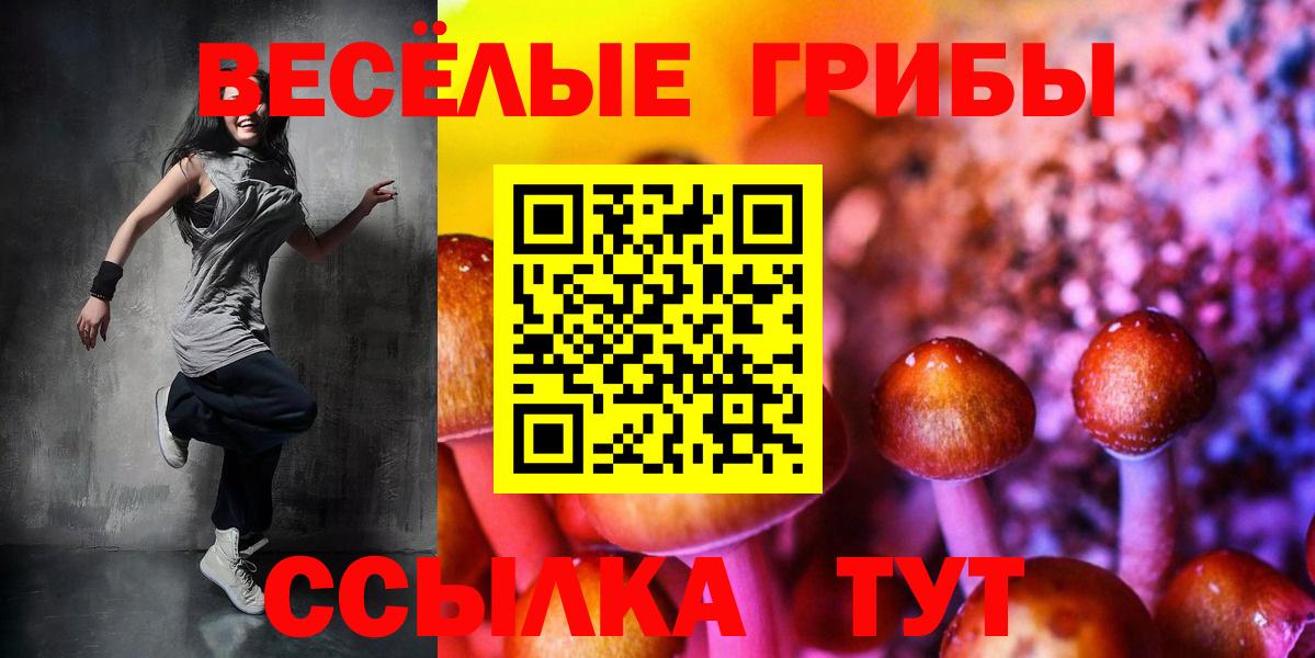 Галлюциногенные грибы MAGIC MUSHROOMS Гулькевичи